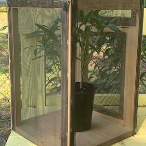 Monarch Butterfly Standard Wood-frame Enclosure & Screenroom Habitat with Illustrated 56-page Book | Pollinator Incubator | Flight Cage image 4