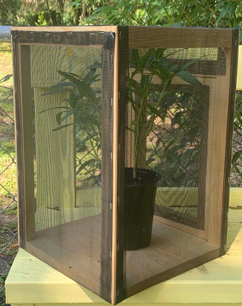 Monarch Butterfly Standard Wood-frame Enclosure & Screenroom Habitat with Illustrated 56-page Book | Pollinator Incubator | Flight Cage image 4