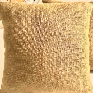 Throw Pillow Burlap