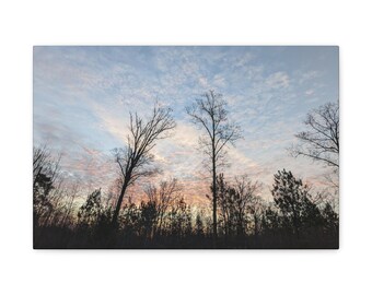 Sunrise By the Forest Road