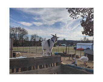 Out on the Farm Puzzle