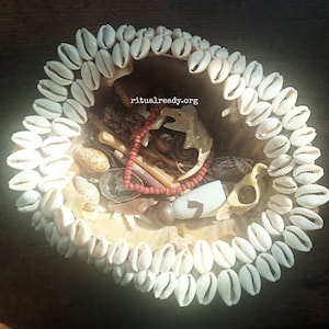May include: A white seashell bowl filled with various objects, including a red beaded necklace, bone fragments, and a small white stone with the number "7" written on it. The bowl is surrounded by a ring of white cowrie shells. The text "ritualready.org" is visible in the center of the bowl.