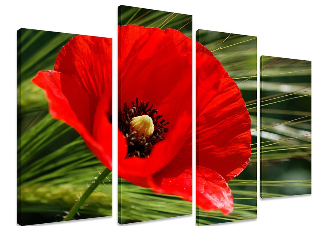 A Red Poppy Close up Multi Split 4 Panel Canvas Artwork Art - Etsy Israel