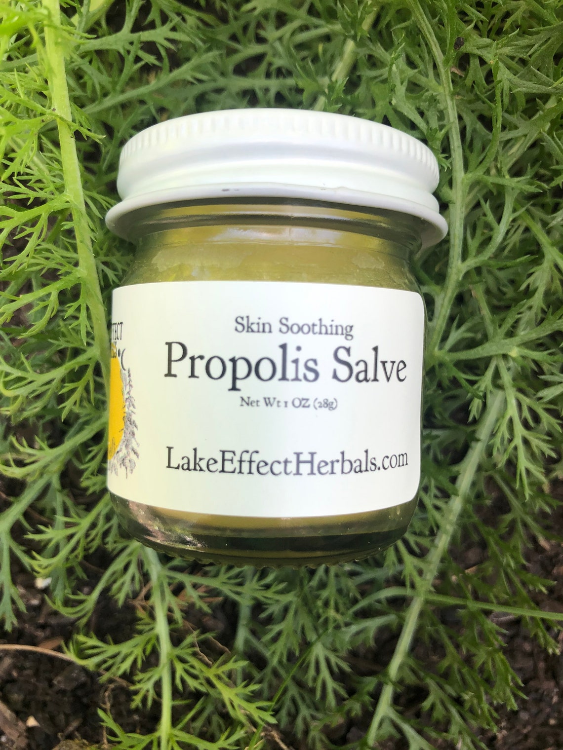 Skin Soothing Propolis Salve wounds eczema cold sore Etsy