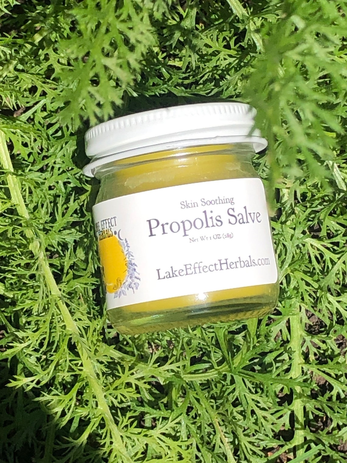 Skin Soothing Propolis Salve wounds eczema cold sore Etsy