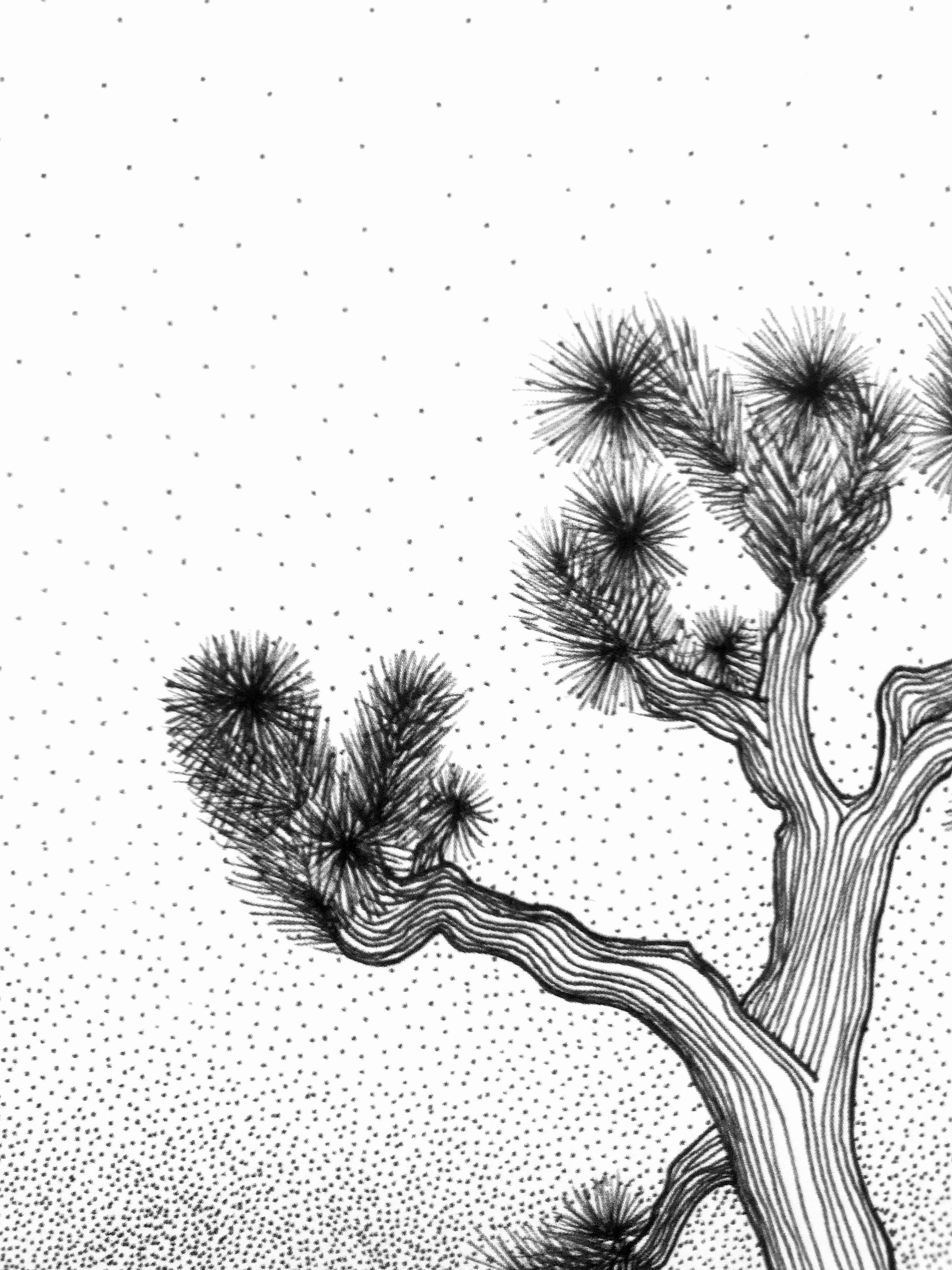 Pen and Ink Art Fathers Day Gift Idea Joshua Tree Art Art - Etsy