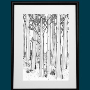 Fathers Day gift, art print, black and white art, tree art, pen and ink, original art, art illustration, pine trees, gift for him,