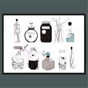 Op de afbeelding: Een zwart-witte illustratie van negen glazen flessen met verschillende inhoud, waaronder een schedel, een maan en sterren, een golf en een takje groen. De flessen zijn gelabeld met nummers en namen, zoals "BellaDonna" en "Maan & Sterren".