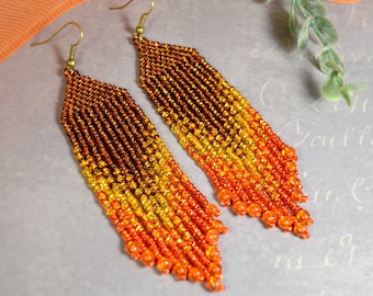 Shine and charm long fringe earrings