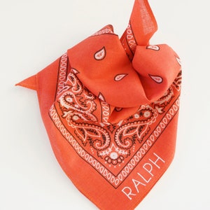 SMALL DOG BANDANAS, Embroidered Pet Scarf, Free Shipping, Personalized Monogrammed afbeelding 4