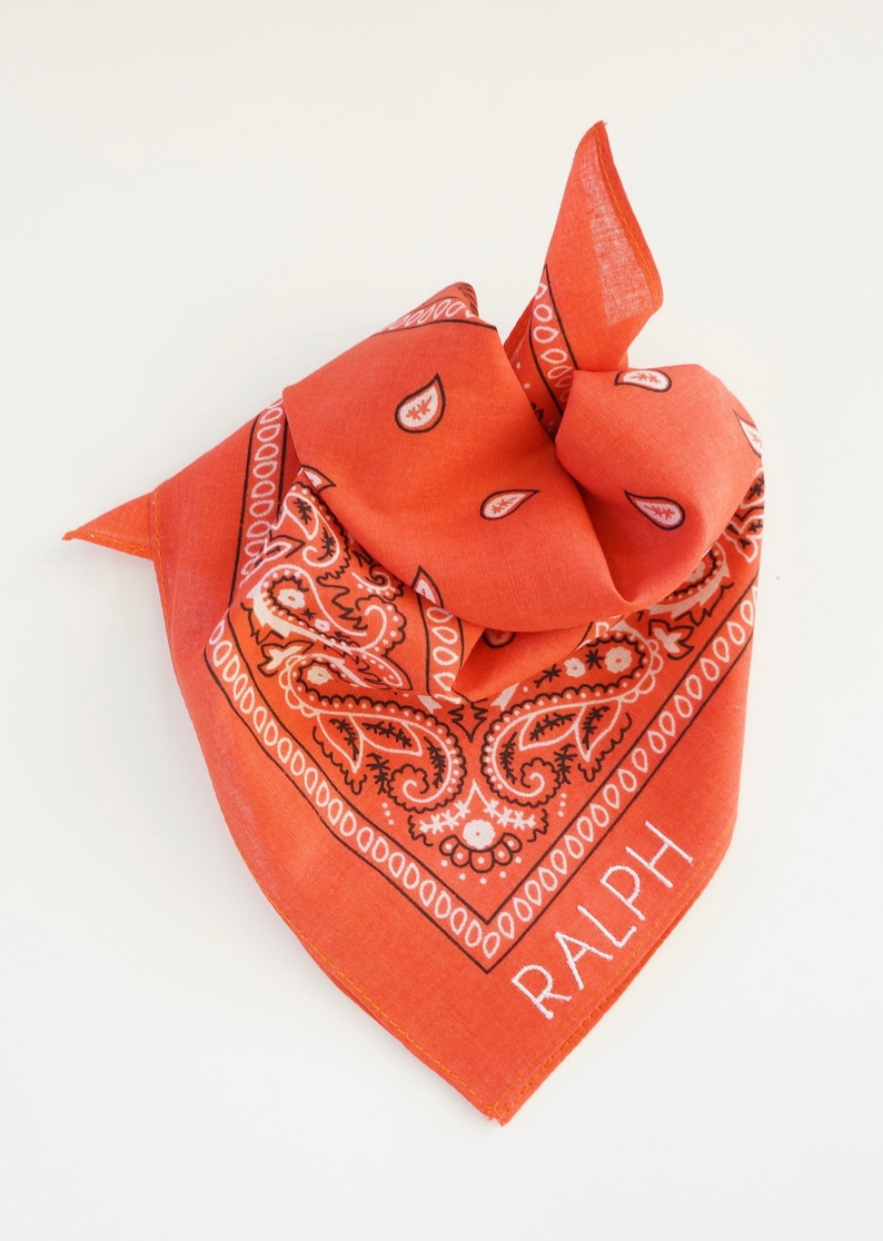 SMALL DOG BANDANAS, Embroidered Pet Scarf, Free Shipping, Personalized Monogrammed afbeelding 4