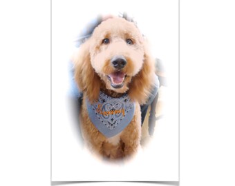 Personalized Monogrammed Large Dog Bandanas, Embroidered Pet Scarf, Free Shipping