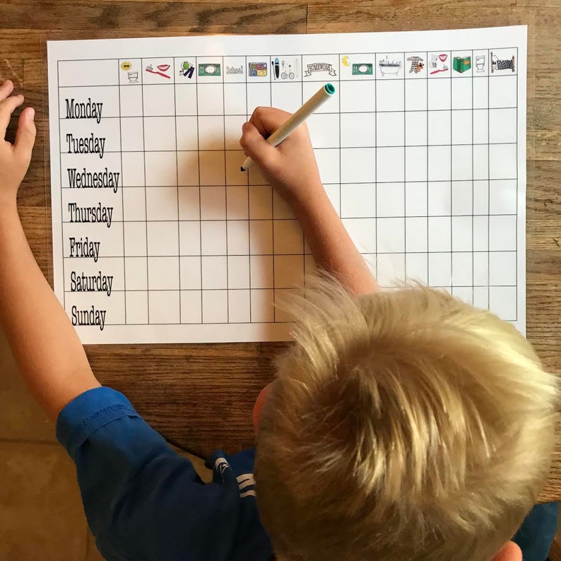 Daily Routine Chart: Eco-Friendly laminated reusable | Etsy