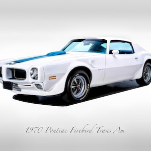 Classic Cars - 1970 Pontiac Firebird Trans Am in Polar White - Muscle Car - Print