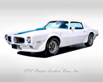 Classic Cars - 1970 Pontiac Firebird Trans Am in Polar White - Muscle Car - Print