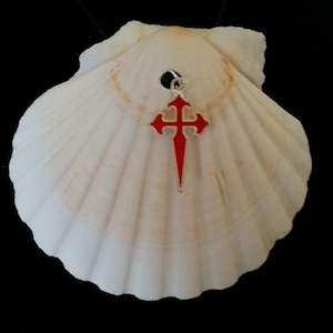 Camino de Santiago Scallop Shell with Cross of St James / Pilgrim / Concha / Vieira