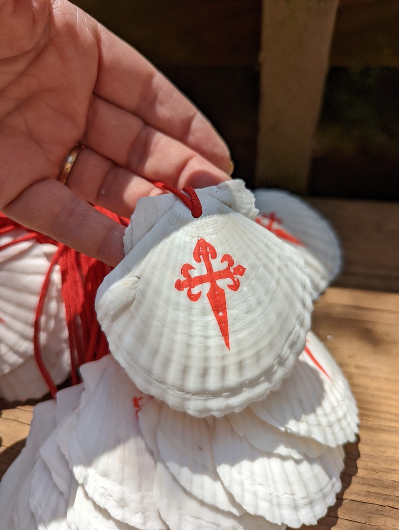 May include: White scallop shells with a red cross design, strung on red cords. The shells are stacked, with one held by a hand. The shells have a ridged texture and are displayed on a wooden surface.