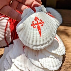 May include: White scallop shells featuring a red Santiago cross design and red string. The shells are stacked and held, with more in the background. These shells are a symbol of the Camino de Santiago pilgrimage, a popular walking route.