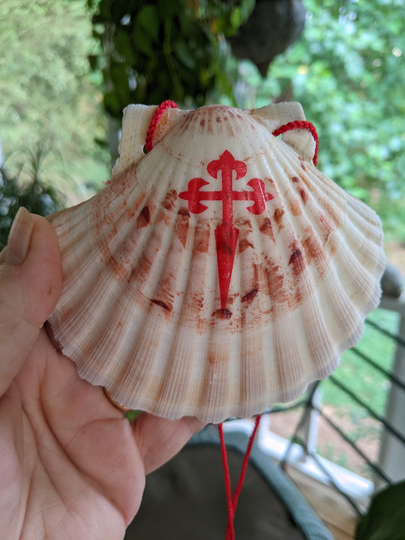 Camino De Santiago Scallop Shell /pilgrim / Backpack / St - Etsy