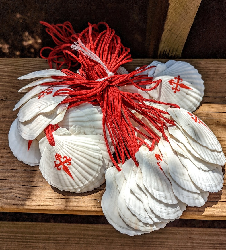 May include: A bundle of white scallop shells, each featuring a red cross emblem, bound with red cord. The shells are displayed on a wooden surface, possibly for a craft or religious purpose.
