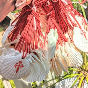 May include: A cluster of white scallop shells, each bearing a red Santiago cross, are strung on red cords. The shells are displayed, highlighting their textured surfaces and the bright red crosses.