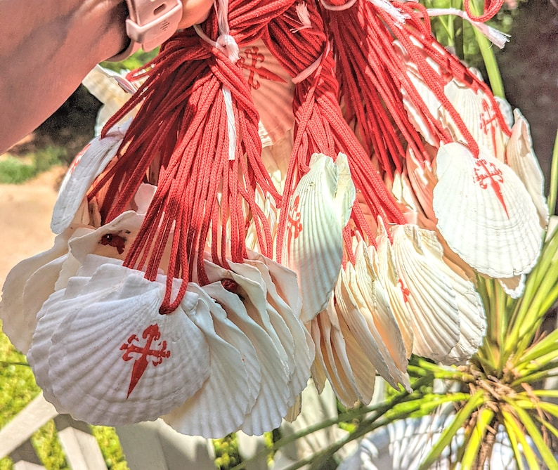 May include: A cluster of white scallop shells, each bearing a red Santiago cross, are strung on red cords. The shells are displayed, highlighting their textured surfaces and the bright red crosses.