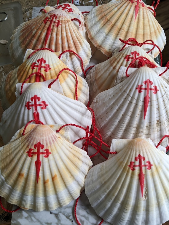 Camino De Santiago Scallop Shell /pilgrim / Backpack / St - Etsy