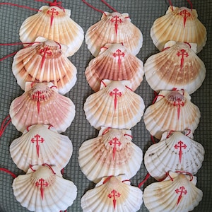 Natural Colorful Camino de Santiago Scallop Shell / Pilgrim / St James / Baptism / Backpack / Necklace