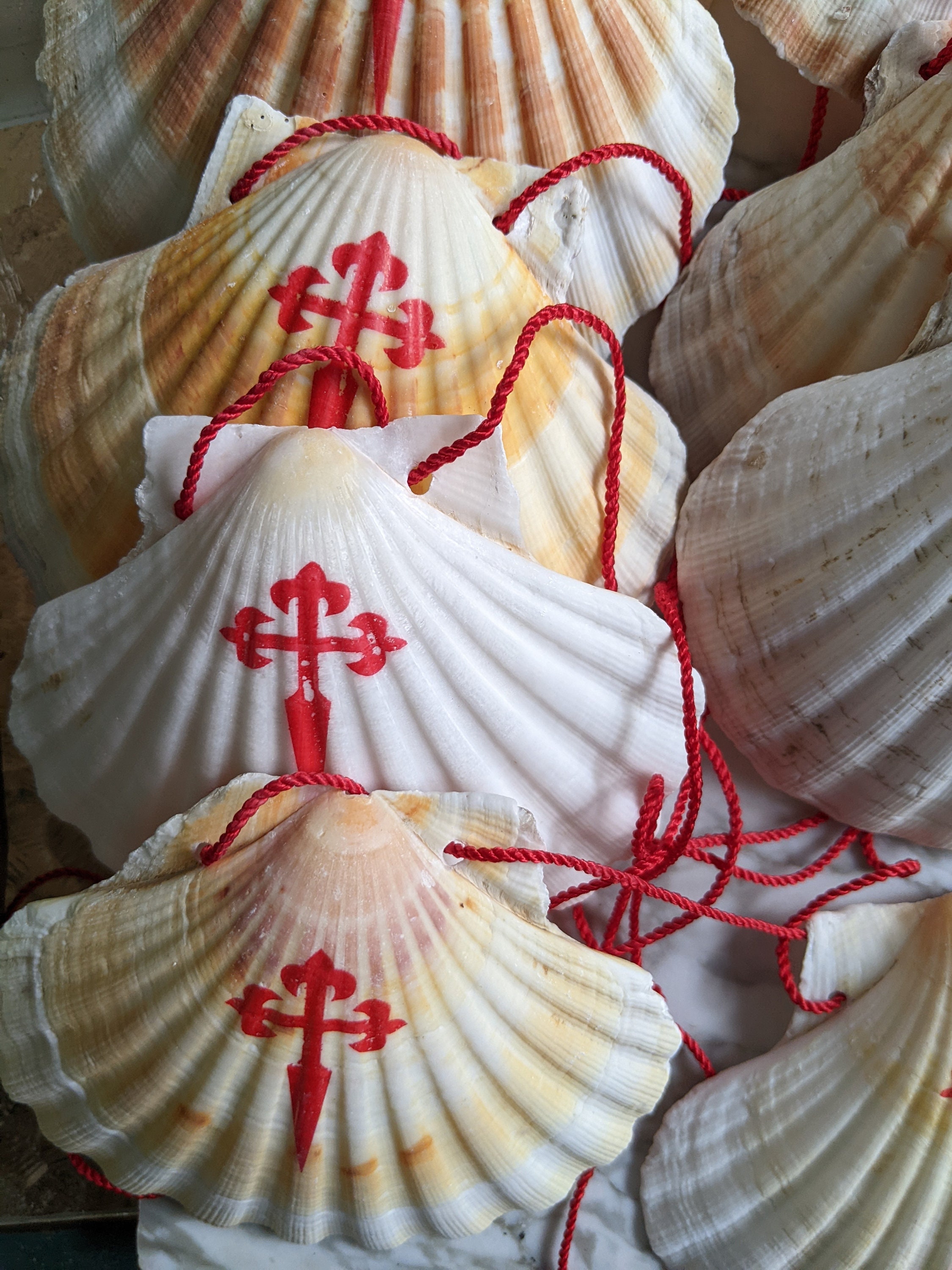 Camino De Santiago Scallop Shell /pilgrim / Backpack / St | Etsy