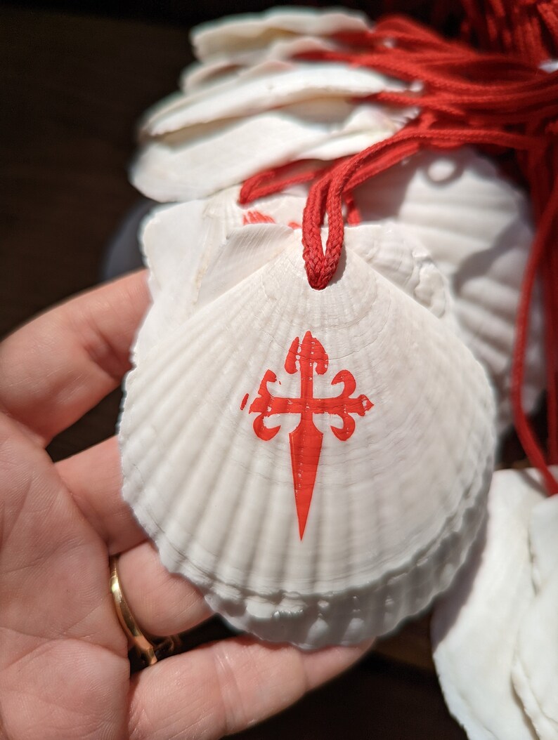 May include: White scallop shells with a red Santiago cross design and red cord. The shells are stacked and held in a hand. The shells have a ridged texture and are illuminated by sunlight.