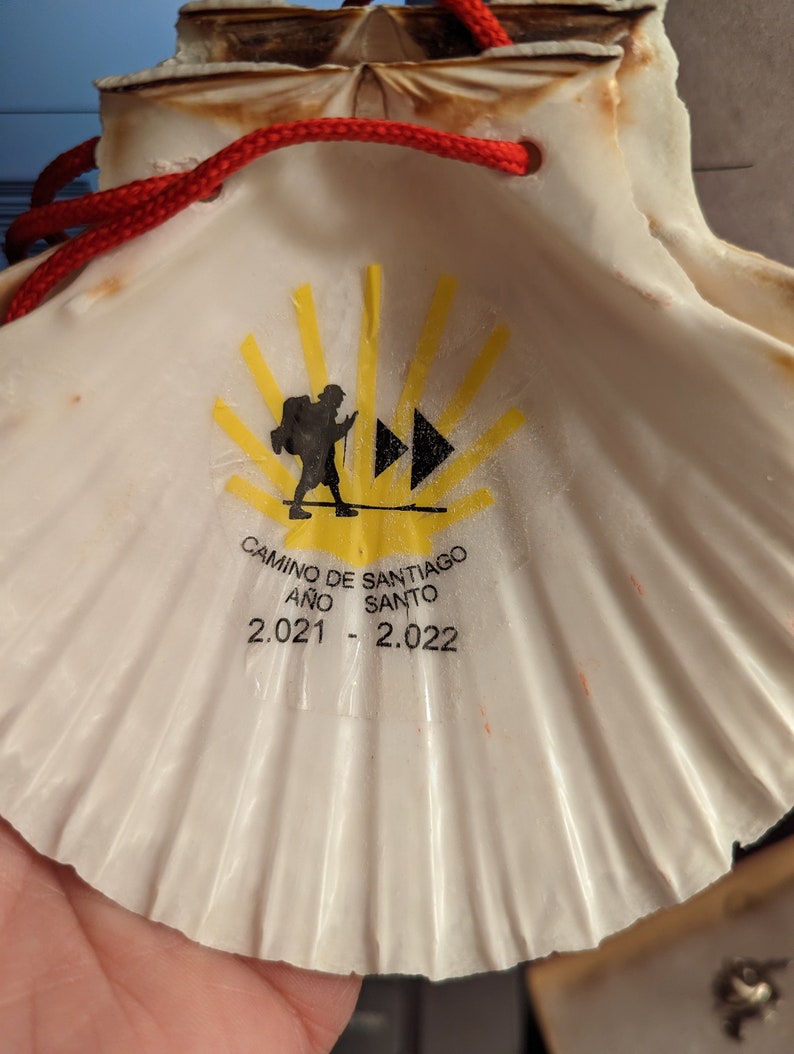 NEW Camino De Santiago Pilgrim Scallop Shells / Inside Image - Etsy