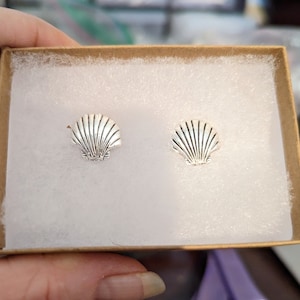 May include: A pair of silver seashell stud earrings presented in a small, open cardboard box with white padding. The earrings are detailed with ribbed lines, resembling a scallop shell. The box is held by a hand.