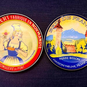 Vintage French Cheese Plates Set of 2 Camembert & Brie Colorful