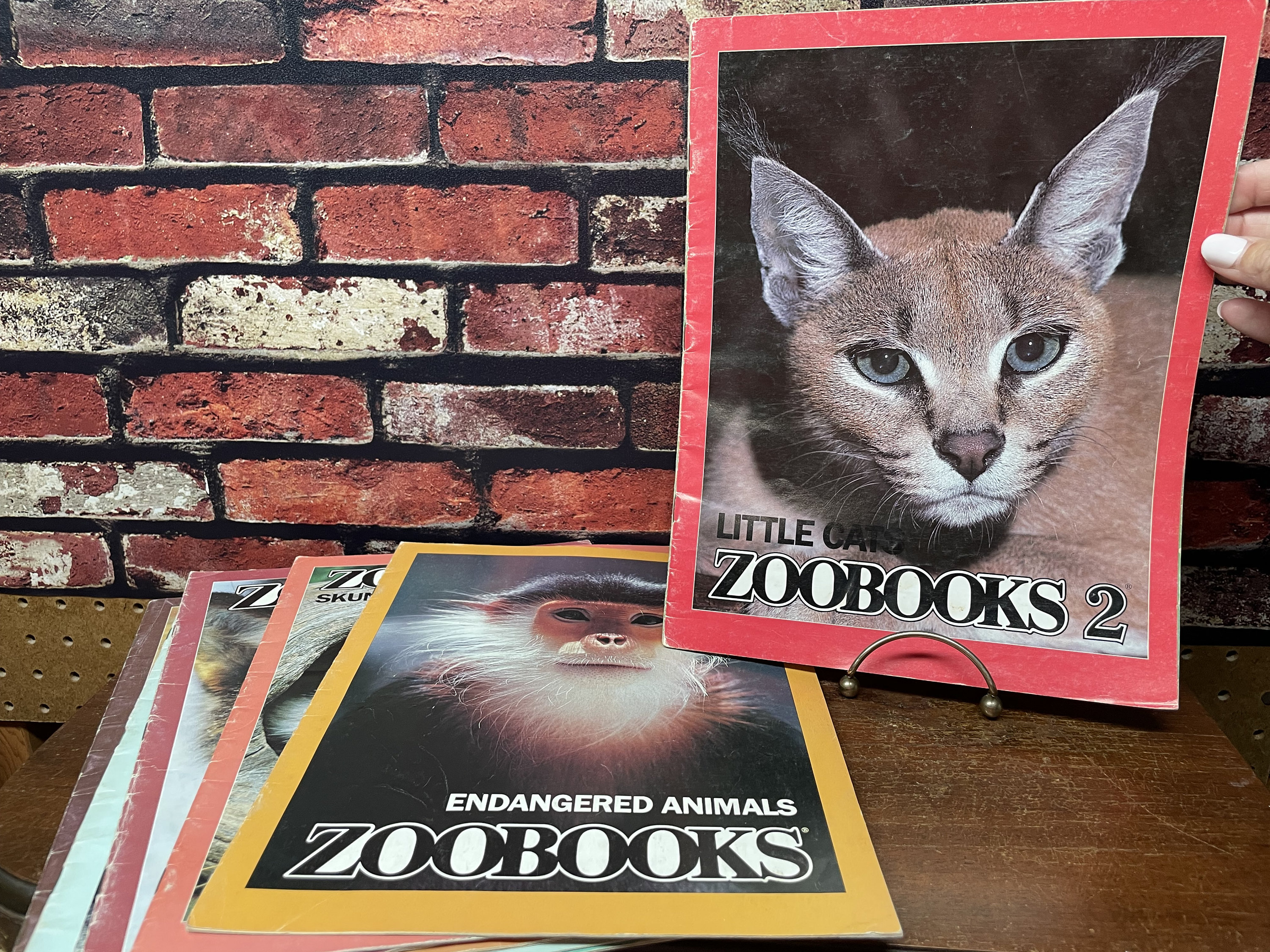 Zoobooks little cats top