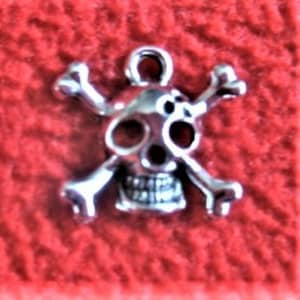 May include: Silver-toned skull and crossbones charm with a loop for attaching to a necklace or bracelet.