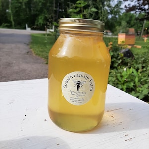 Raw Unfiltered Spring  NY Honey 3 lbs / Really Raw Honey / Unheated Honey