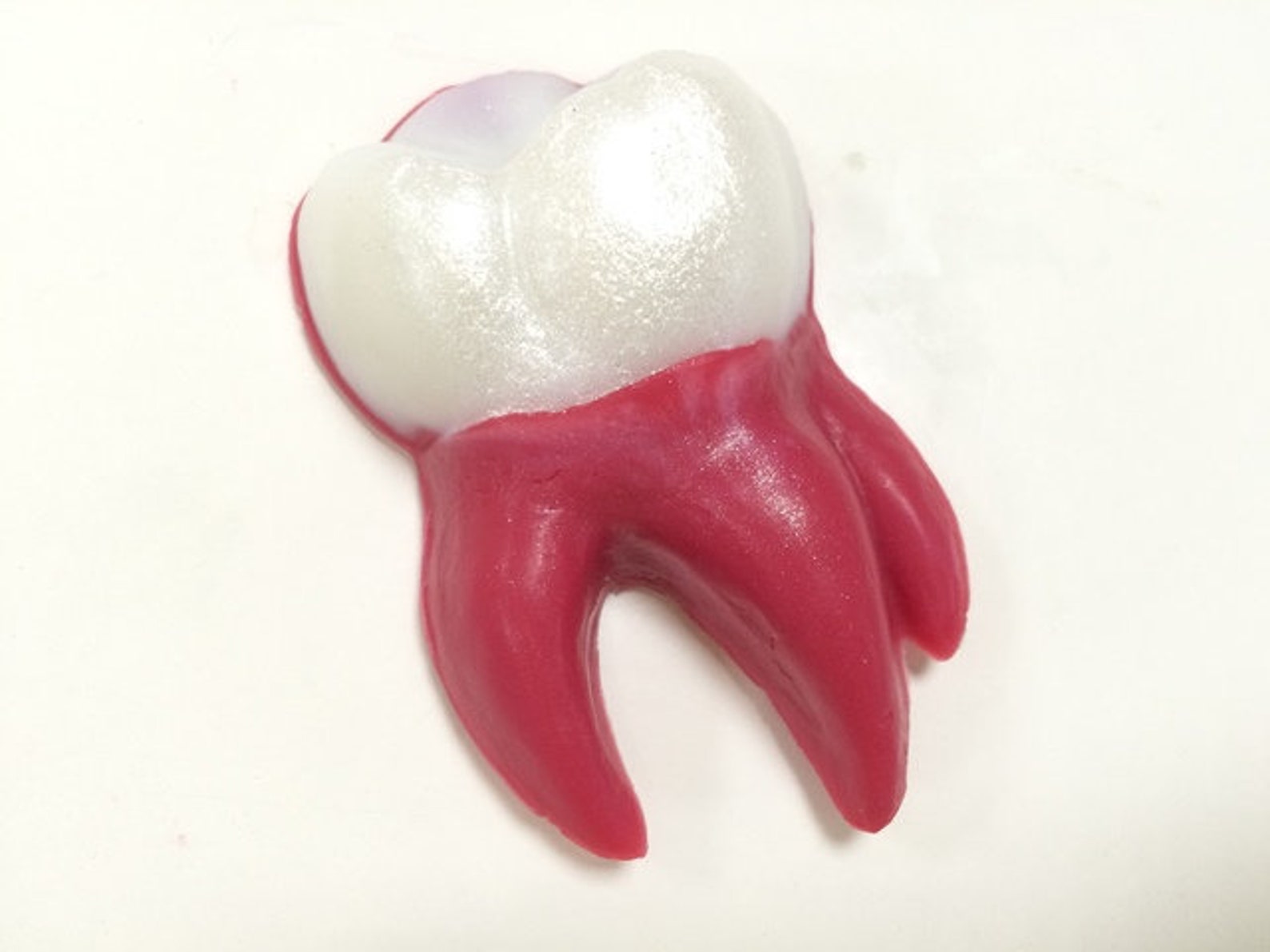 Tooth mold dentist mold plastic mold mold for soaps resin Etsy