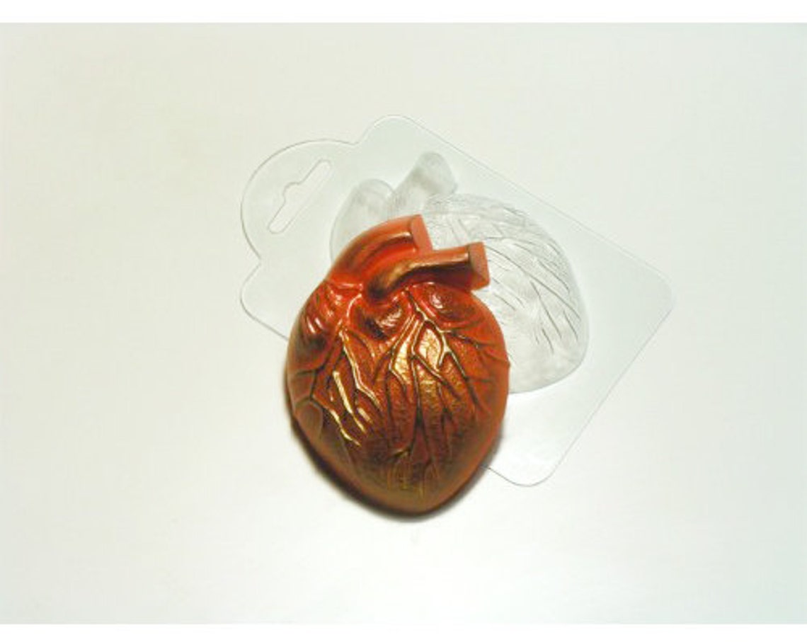 Anatomical heart soap plastic mold heart mold anatomical Etsy