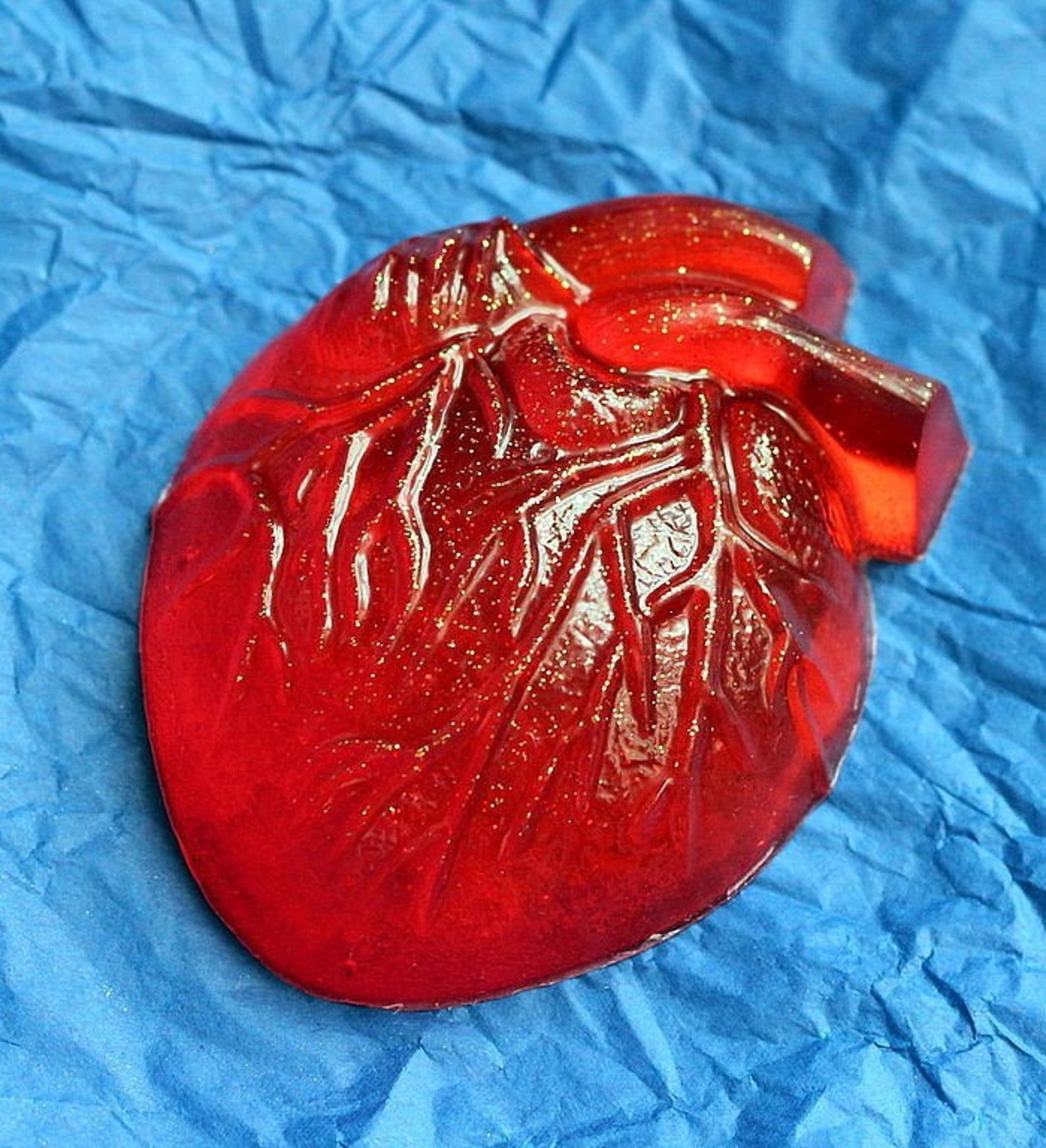 Anatomical heart soap plastic mold heart mold anatomical Etsy