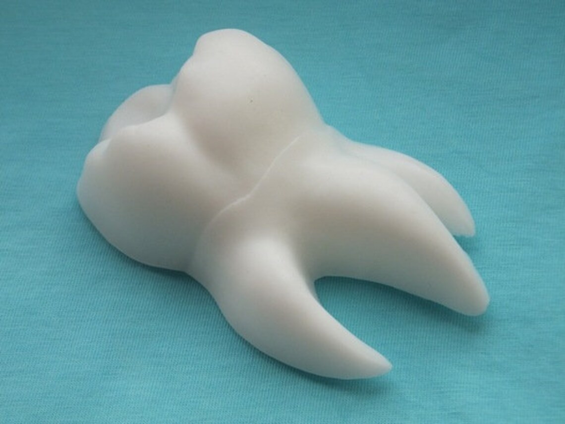 Tooth mold dentist mold plastic mold mold for soaps resin Etsy