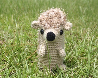 Hedgehog Crochet Amigurumi Pattern