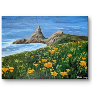 Original Oil Painting - California Big Sur Wild Poppy Flowers 16*12