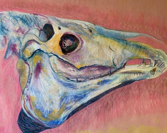 Könnte beinhalten: Eine Pastellzeichnung eines Schädels, in Weiß-, Gelb-, Blau- und Lilatönen auf rosa Hintergrund. Das Kunstwerk zeigt den Schädel im Seitenprofil und zeigt Augenhöhlen, Zähne und Knochenstruktur.