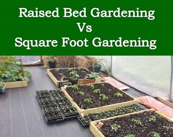 Raised Bed vs Square Foot Garden - What's Best For You?