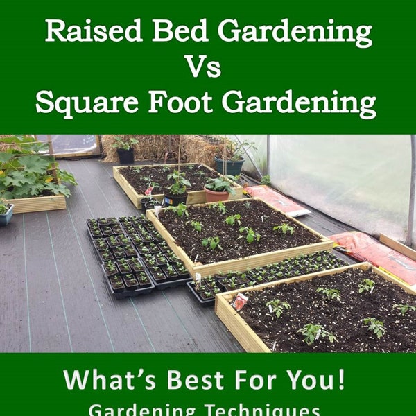 Raised Bed vs Square Foot Garden - What's Best For You?