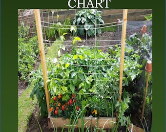 Square Foot Garden Plant Numbers Chart