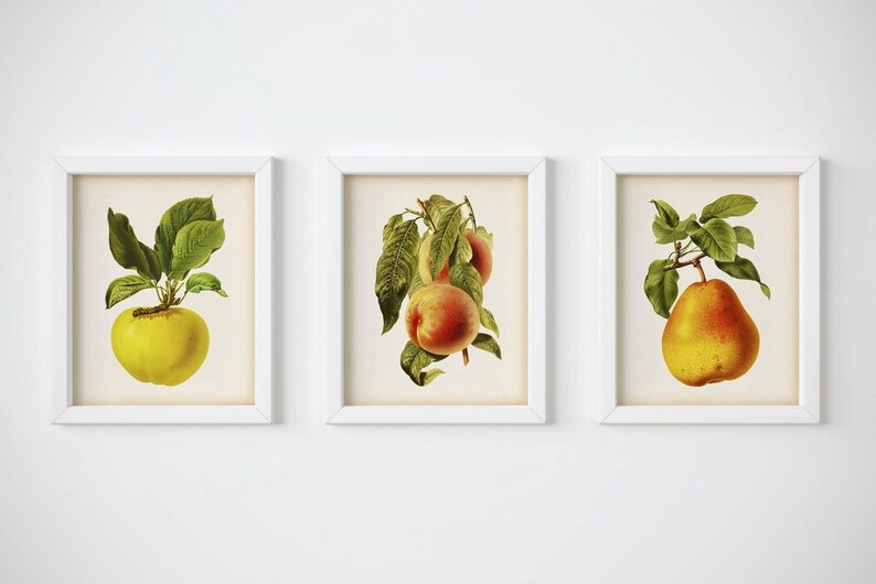 Kitchen print set Fruit print Fruit wall decor Wall art Etsy
