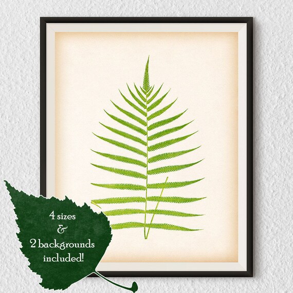 Printable art Fern print Vintage fern illustration Instant | Etsy