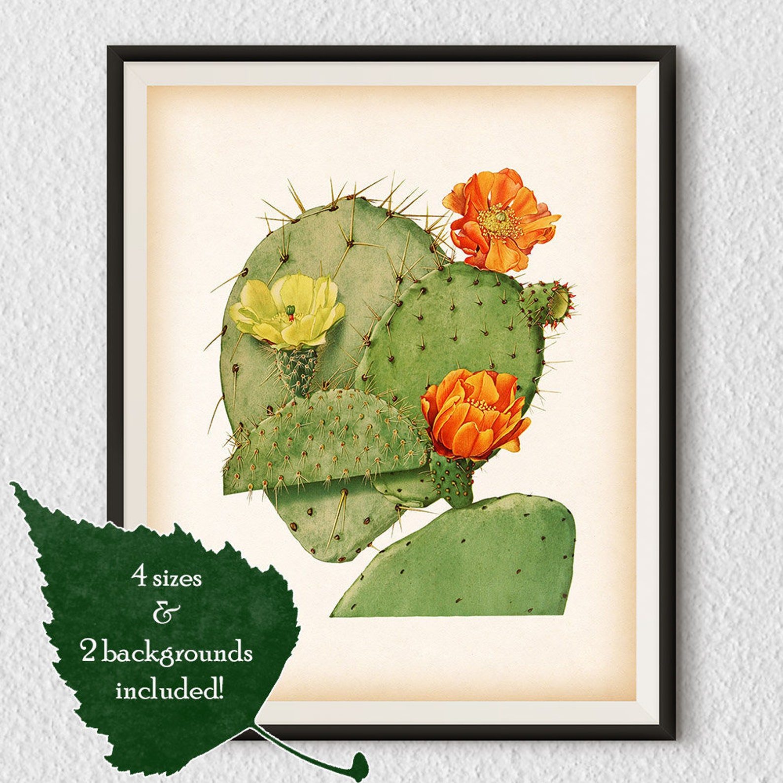 Botanical art Vintage cactus print 8x10 print 11x14 print Etsy