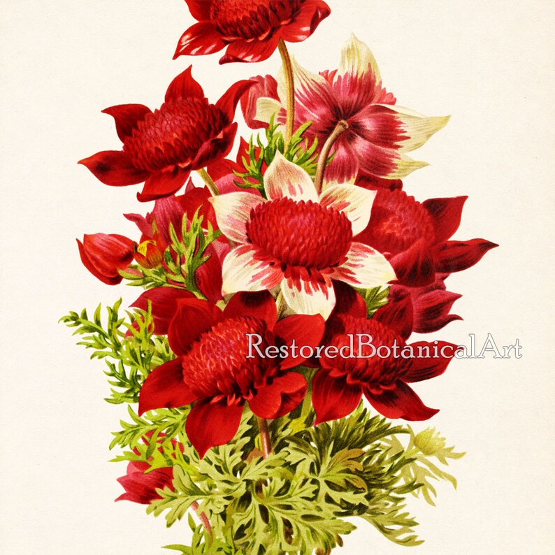 Floral Print Art Print Vintage Floral Wall Art Antique Art Etsy